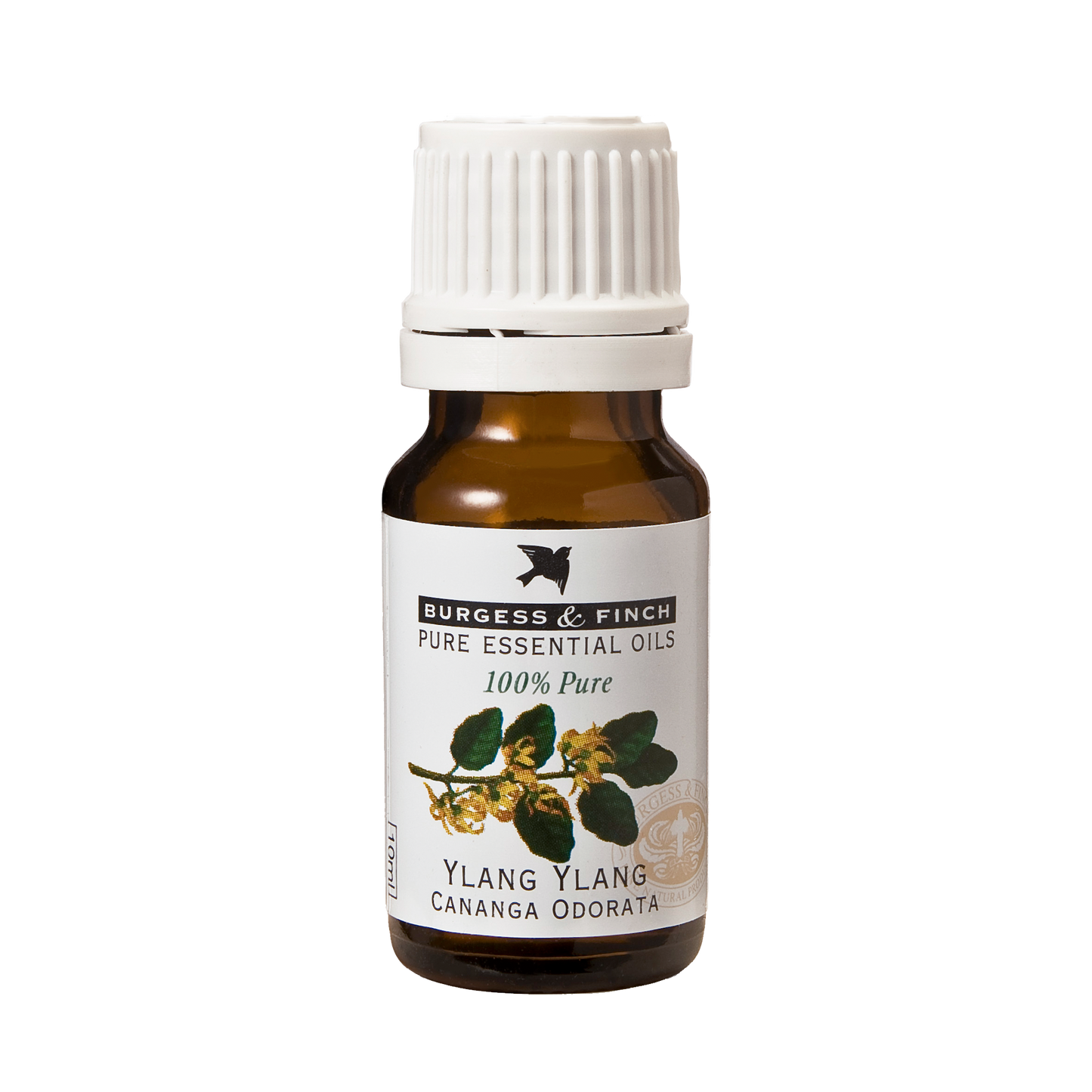 Ylang Ylang Oil 10ml