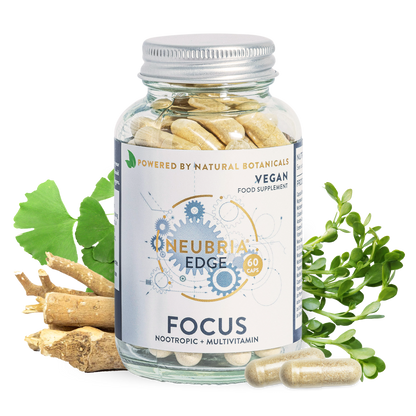 Neubria Edge (Focus) 60's Vegan