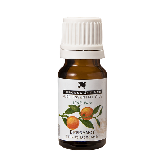 Bergamot Oil 10ml