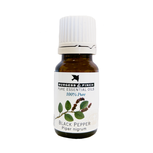 Black Pepper Oil 10ml