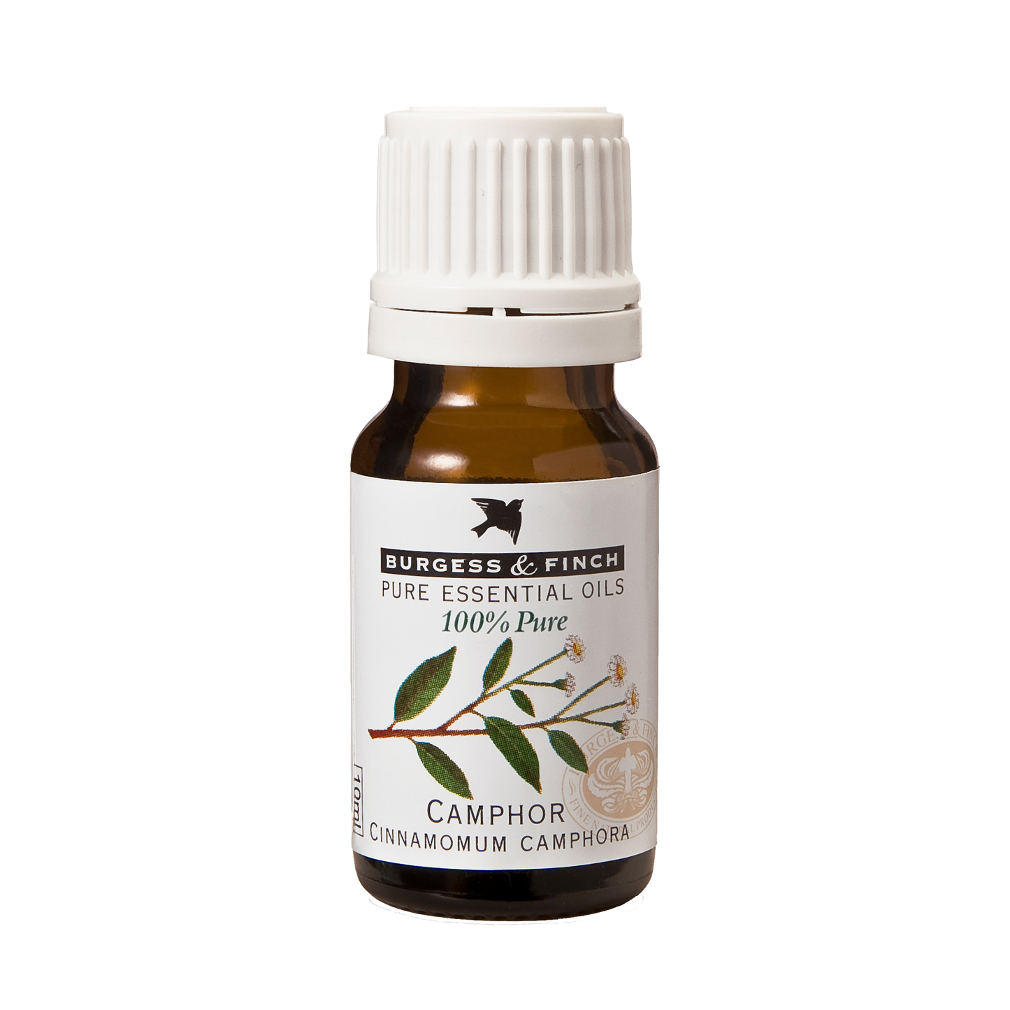 Camphor Oil 10ml