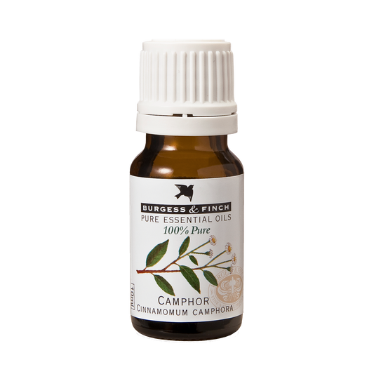Camphor Oil 10ml