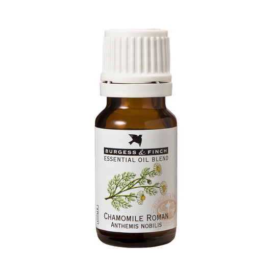 Chamomile Roman Oil 10ml (Blend)