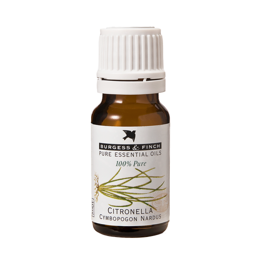 Citronella Oil 10ml