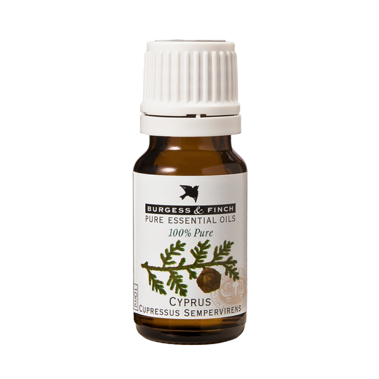 Cyprus Oil 10ml