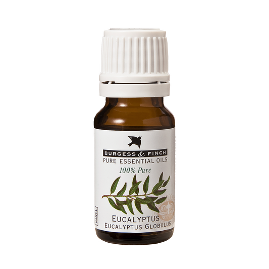 Eucalyptus Oil 10ml