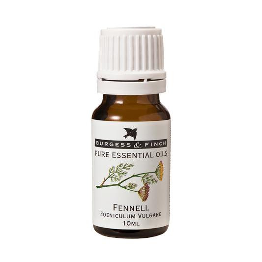 Fennel Oil 10ml