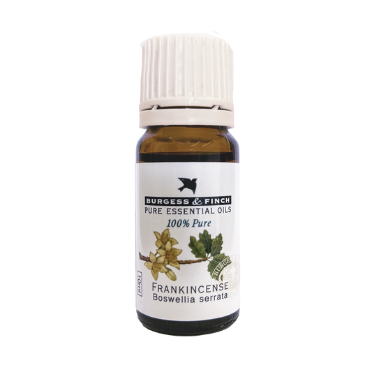 Frankincense Oil 10ml