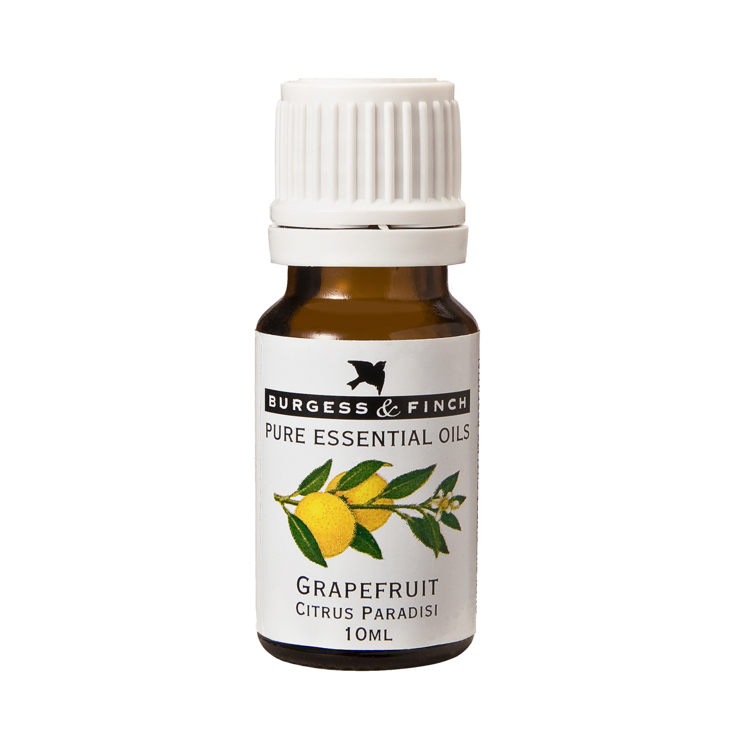 Grapefruit Oil 10ml