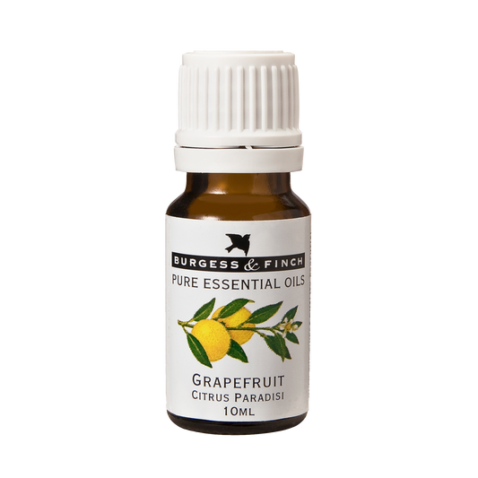 Grapefruit Oil 10ml