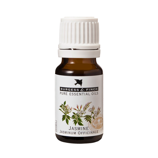 Jasmine Oil 10ml