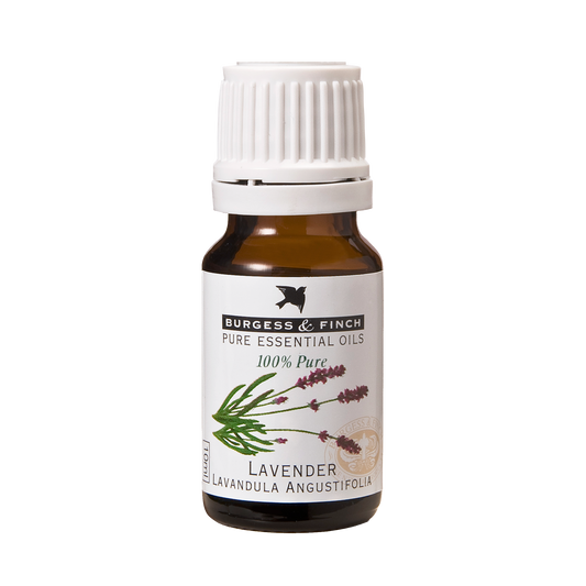 Lavender Oil 10ml