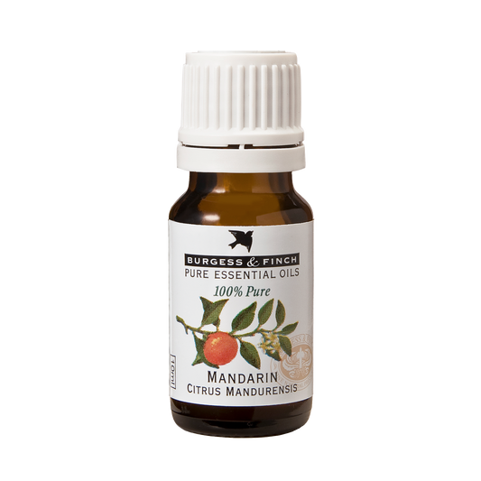 Mandarin Oil 10ml