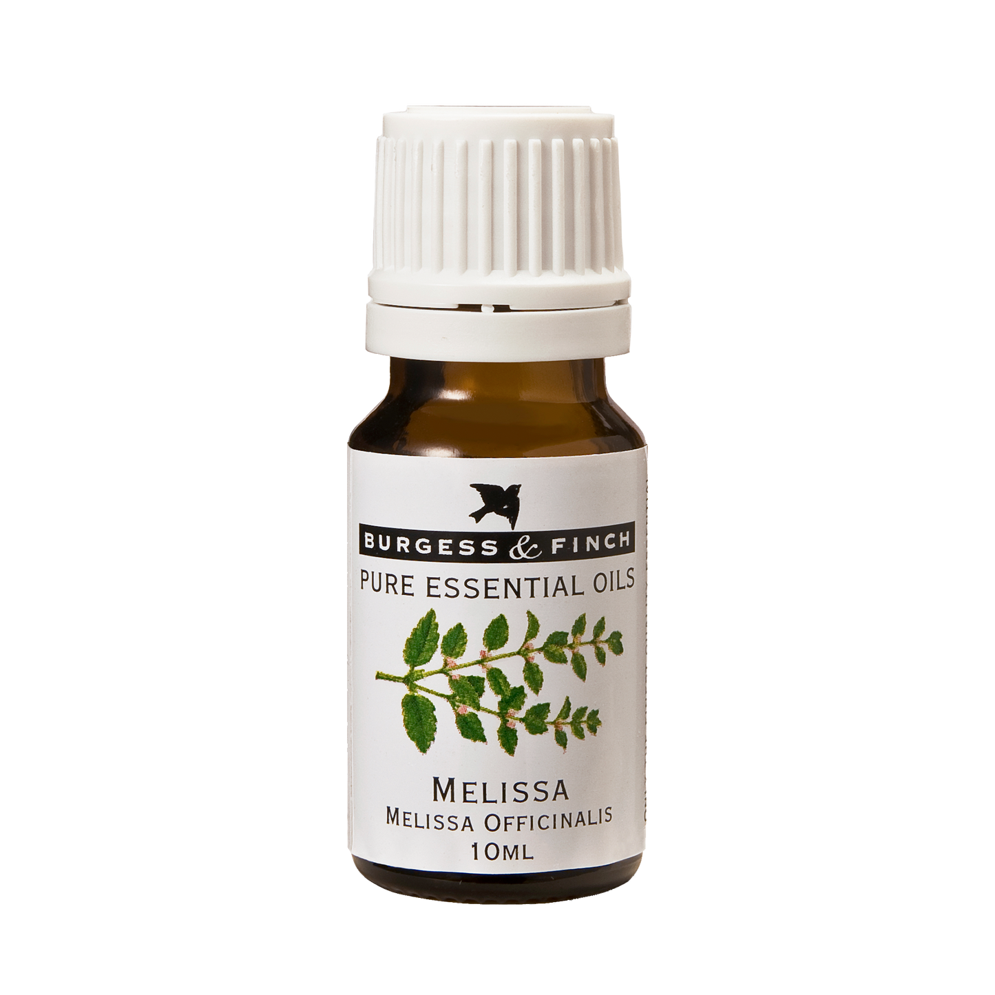 Melissa Oil 10ml