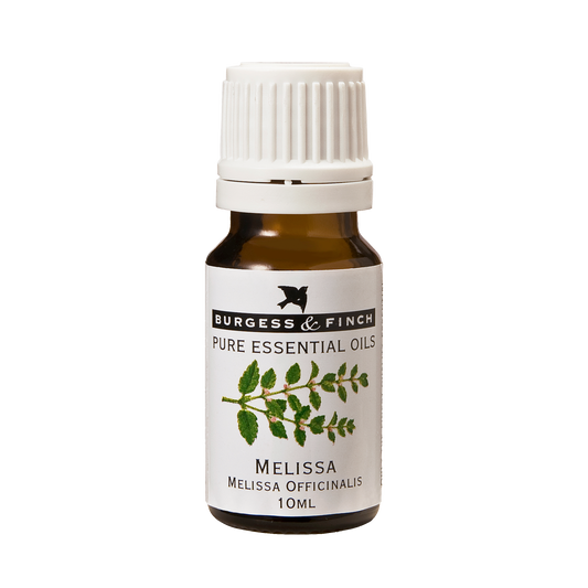 Melissa Oil 10ml