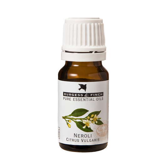 Neroli Oil 10ml