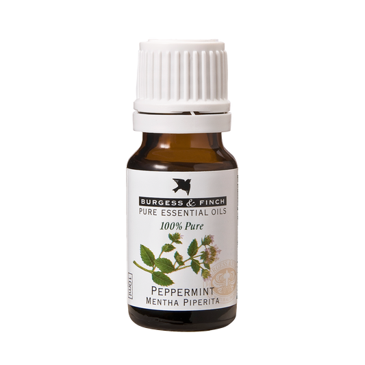 Peppermint Oil 10ml