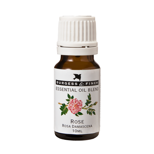 Rose Oil 10ml (Blend)