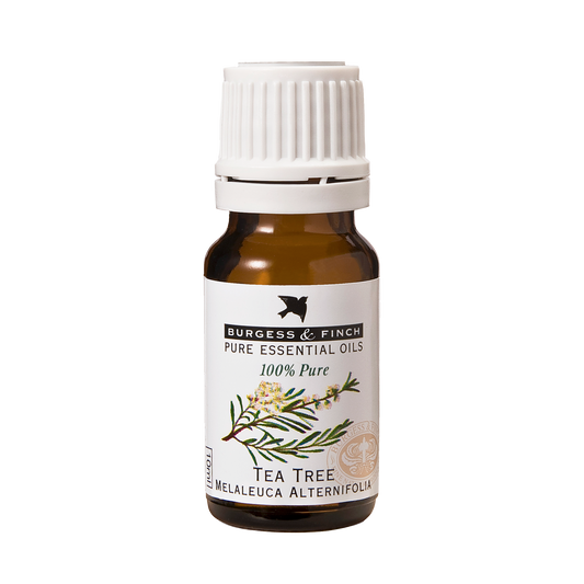 Tea Tree Oil 10ml