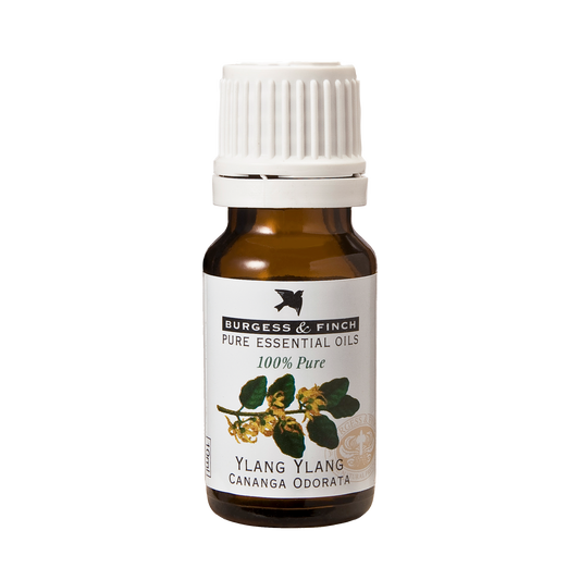 Ylang Ylang Oil 10ml